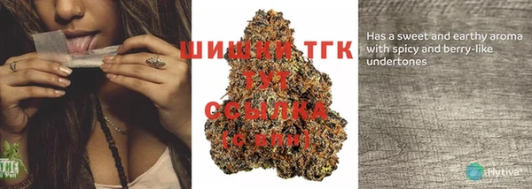 стаф Нея