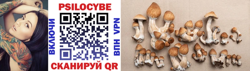 Галлюциногенные грибы Psilocybine cubensis  сколько стоит  darknet как зайти  Новочебоксарск 